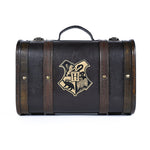 Harry Potter (Das Unglück findet mich) Premium Geschenkset