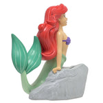 Spaarpot: Ariel