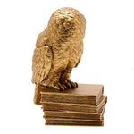 Harry Potter Figur - Hedwig
