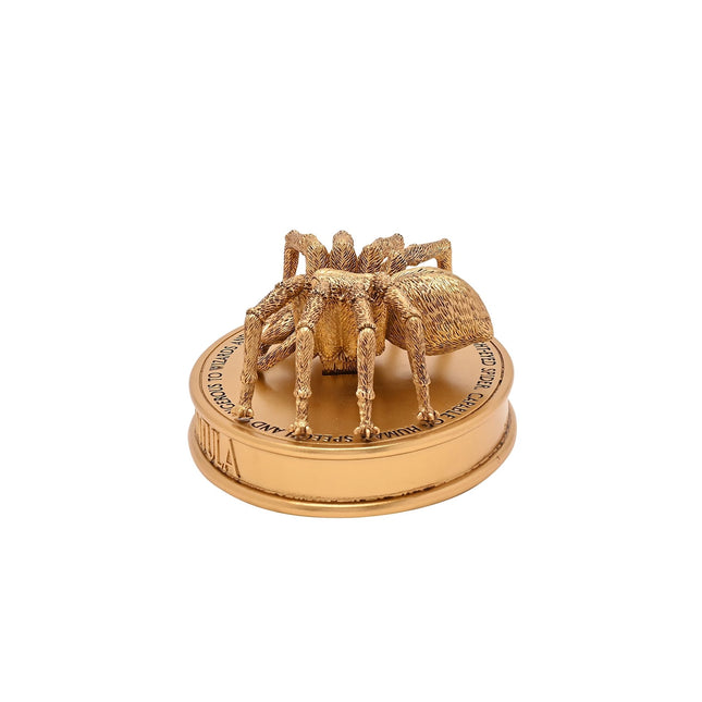 Harry Potter Figur – Aragog