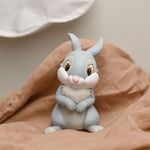 Spaarpot: Thumper