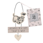 Plaquette: Because I'm a Lady That's why - Katten & Honden