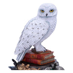 Figur: Hedwig - Harry Potter