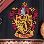 Mug: Harry Potter - Hermione Collectible Tankard