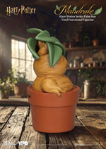 Spaarpot: Mandragora - Harry Potter 13,6 cm