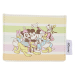 Cardholder: Mickey And Friends And Rainbow Stripes