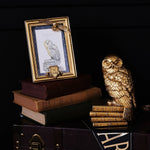 Fotolijst: Harry Potter goud - Hedwig