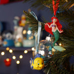 Hanging Ornament 3D: Ariel en Botje