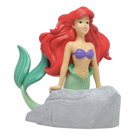 Spaarpot: Ariel